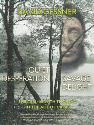 cover image of Quiet Desperation, Savage Delight